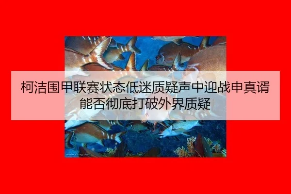 ke-jie-wei-jia-lian-sai-zhuang-tai-di-mi-zhi-yi-sheng-zhong-ying-zhan-shen-zhen-xu-neng-fou-che-di-da-po-wai-jie-zhi-yi-3-953.jpg