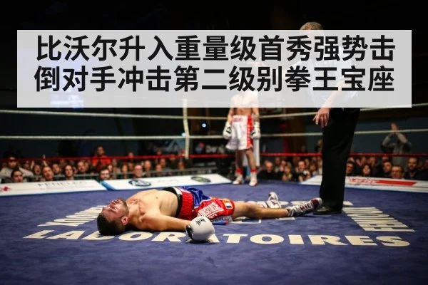 比沃尔升入重量级首秀强势击倒对手冲击第二级别拳王宝座